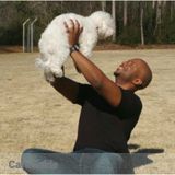 Professional Pet Training