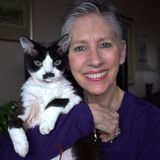 Available: Consistent Animal Feeding in Montreal, Quebec