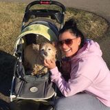 Huge Animal lover, dependable, ability to give your Fur Babies lots of TLC, Overnight stays or longer provided