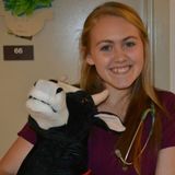 Seeking Blacksburg Pet Care Provider Opportunity