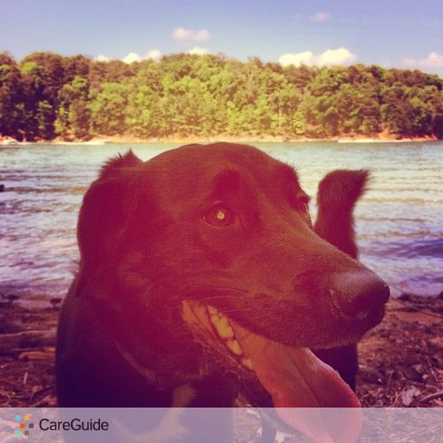 Pet Care Provider Jessica Petersen's Profile Picture