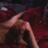 Nurturing ,knowledgeable, reliable pet sitter, San Marcos, Texas