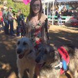 Im Allison, I can provide all these an additional: feeding, fresh water, walks, grooming, cleaning , bathing ,medication ECT!