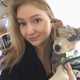 Experienced Professional House Cleaner/Housekeeper/Pet Sitter