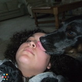 32218 Pet Sitter