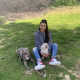 Caring and reliable pet care giver