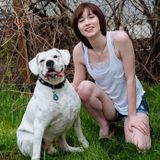 Available: Trustworthy Dog Walker in St. Albert