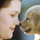 Two Sisters Pet Sitting Services