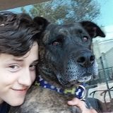 I'll love your dog like they're my own!