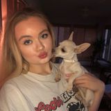 Experienced animal caregiver