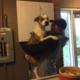 Certified, International Pet Stylist and Care Taker