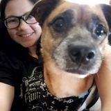 Looking For a Pet Sitter Opportunity around Eastern St. Louis