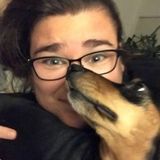 For Hire: Teacher/Pet Sitter