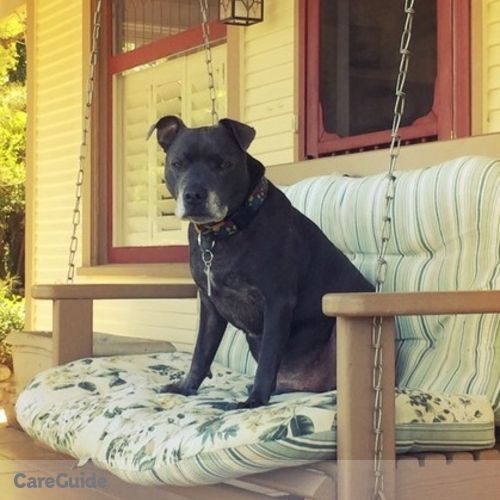 Pet Care Provider Lucy S's Profile Picture