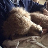Professional and Loving Petsitter in Harpers Ferry