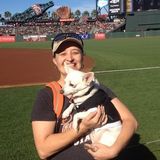 House Sitter and Animal Lover available all over San Francisco Bay Area