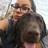 Responsible Dog Lover Looking to Help Out!