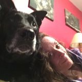 Animal caregiver and animal lover/ protector available to meet your fur-babies needs
