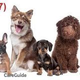Honorable a Quality Home/pet sitter