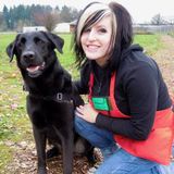 Certified Dog Trainer avail for Walks, Training, and Pet Sitting