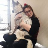 Loving and Patient Pet/Home Sitter