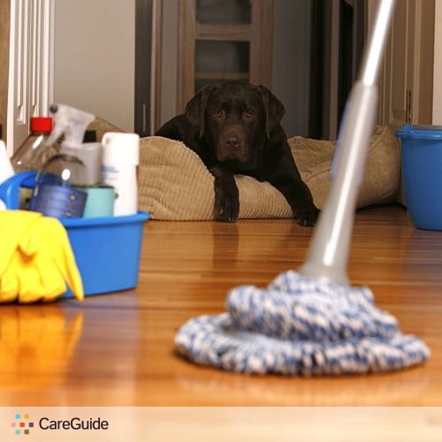 Housekeeper Provider Inga B's Profile Picture