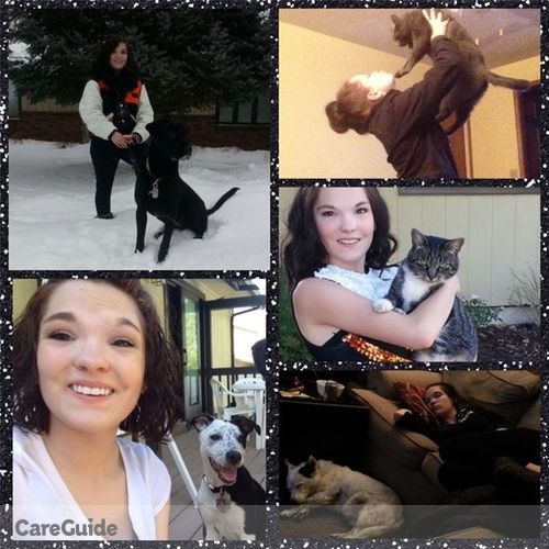 Pet Care Provider Megan Ayers's Profile Picture