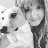 Professional Pet Concierge