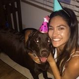 Experienced pet sitter and dog walker in orlando