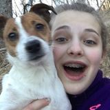 Searching for a Pet Care Provider Job in Mars Hill