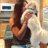 Loving Dog Walker Available Immediately