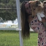 NSB Pet Care Provider