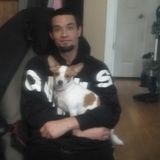 Seeking Winnipeg dog Sitter Jobs