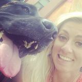 Animal lover looking for dogs to walk!
