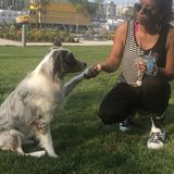 Want to know leaving your furry Bestfriend that he will be loved and treated with respect , call me your new god mommy!