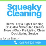 Local Housekeeping Services