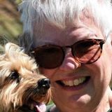 Paws and More Pet Care Team! Serving the Des Moines Area