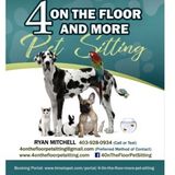4 On The Floor & More Pet Sitting