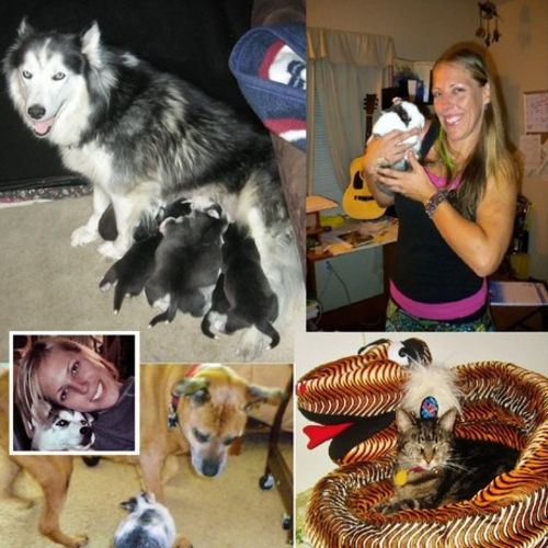 Pet Care Provider Holly R's Profile Picture