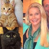Laguna Niguel - Housecleaner and Pet Cleanup - Must Love Cats : )