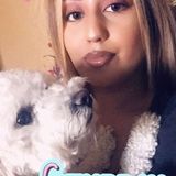 Jackie's petsitting
