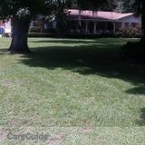 Affordable Lawn care