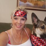 Seeking Phoenix Pet Sitter, Arizona Jobs