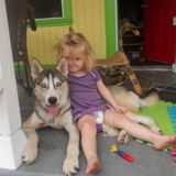 Lover off all pets! Certified in dog training at the Animal Behavioral Collage. Fergus local, open schedule.