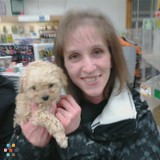Part-Time Pet Sitter , Elmira, NY