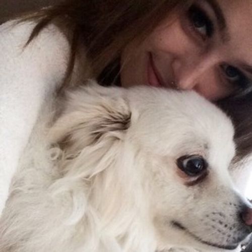 Pet Care Provider Brittney O's Profile Picture