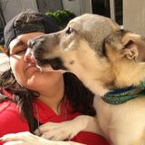 Available For Chicago Dog Sitter Opportunity