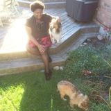 Reliable Pet Care Professional Available Today