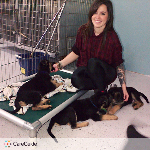 Pet Care Provider Gabrielle C's Profile Picture