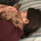 For Hire: Seasoned Pet Supervisor in Waterloo, Ontario